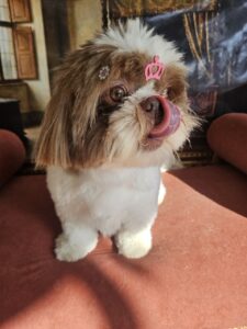 Mavie - Tosa Bebê