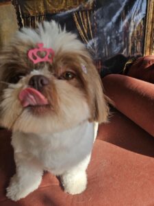 Mavie - Tosa Bebê