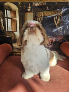 Mavie - Tosa Bebê