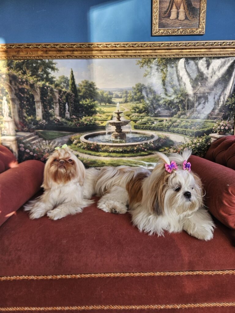 Amora e Aurora, nossos clientes desde dezembro!