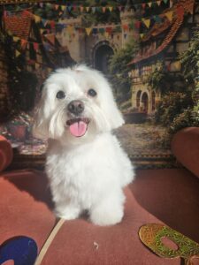 Levi - Tosa Bebê