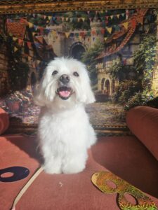 Levi - Tosa Bebê