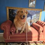Fiona