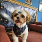Oliver