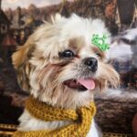 Oliver