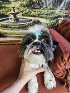 Teo - Tosa Bebê