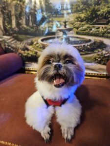 Balu