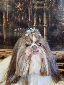 Leia