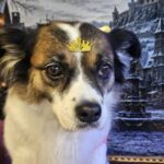 Princesa