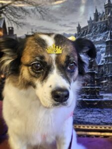 Princesa