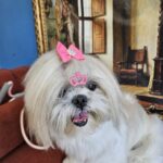 Milly