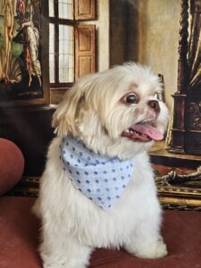 Billy - Tosa Bebê