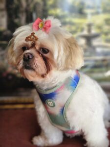Nina - Tosa Bebê