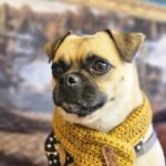 Chico