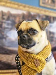 Chico
