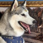 Kira