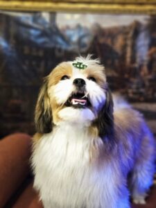 Theodor