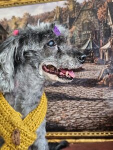 Maggie - Tosa Total