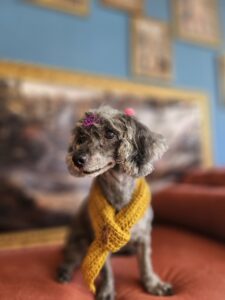 Maggie - Tosa Total