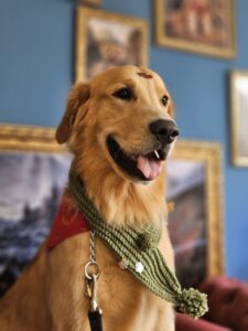 Simon