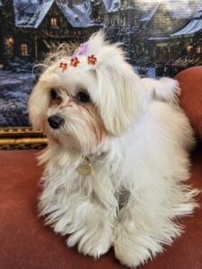 Sophie