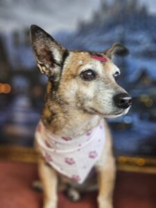 Rosie