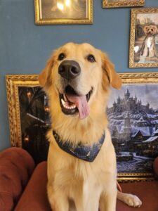 Simon