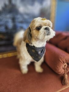 Thor - Tosa Bebê