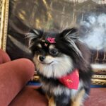 Donatella
