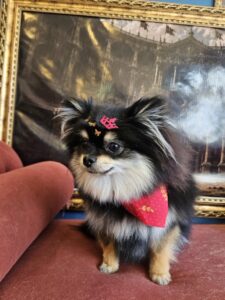 Donatella