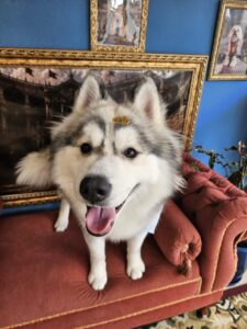 Ares
